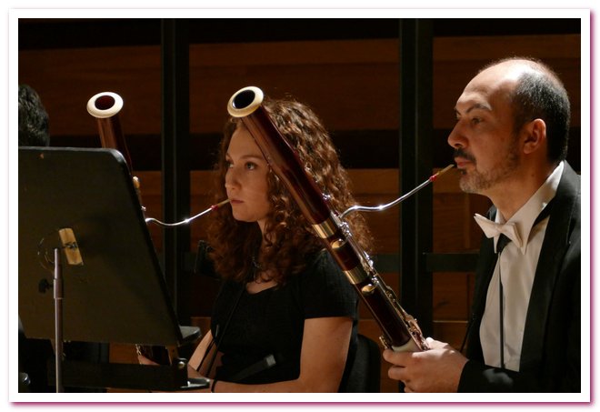 Pomeriggi Musicali Francesca Dego