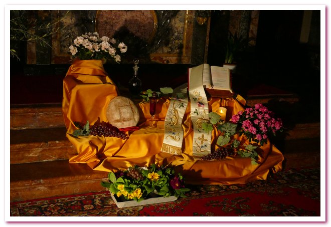 Sette Chiese Vigevano 2018