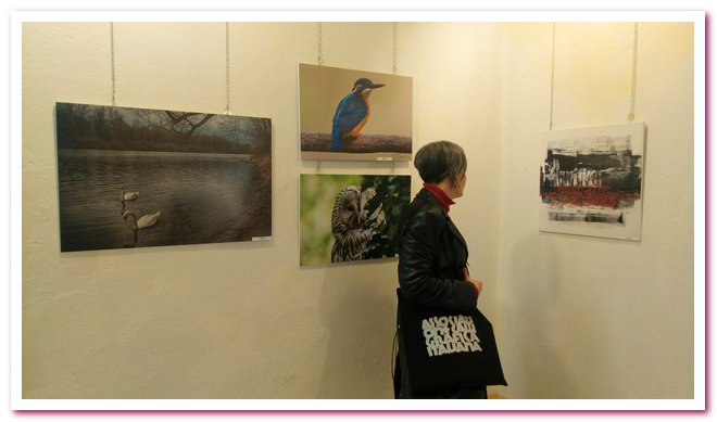 Photo Art Novara DeSi