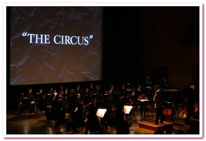 Pomeriggi Musicali Il Circo Helmut Imig 