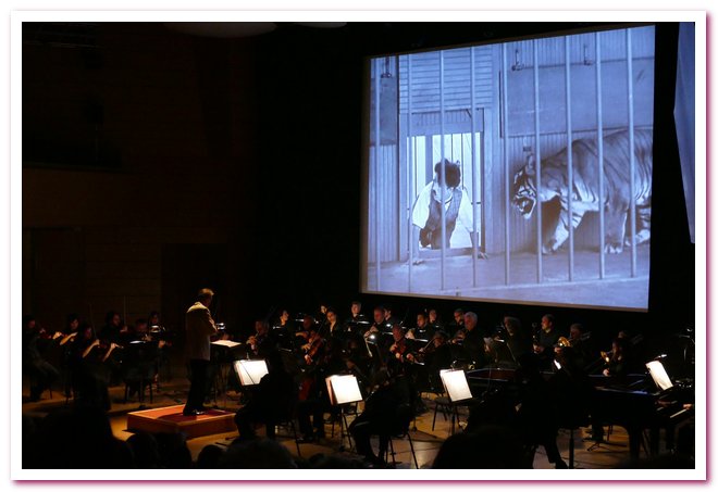 Pomeriggi Musicali Il Circo Helmut Imig 