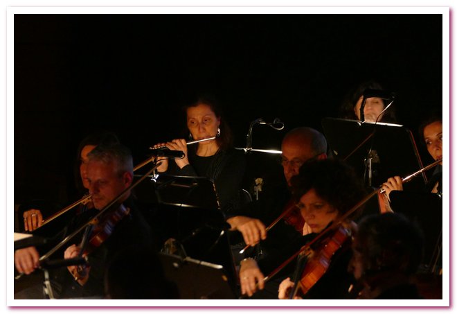 Pomeriggi Musicali Il Circo Helmut Imig 