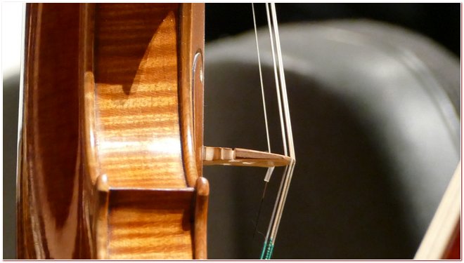 Pomeriggi Musicali Andaloro Feddeck