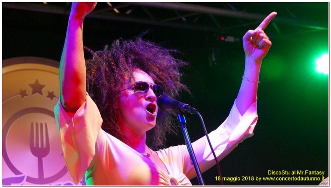 DiscoStu Dancin' Band