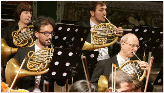 Arteviva Matteo Baxiu