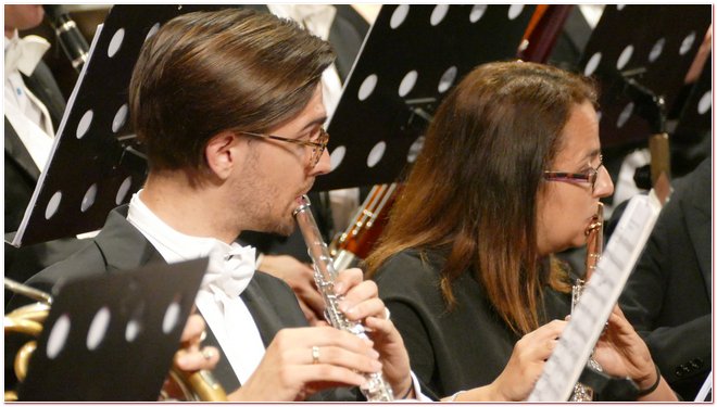 Arteviva Matteo Baxiu
