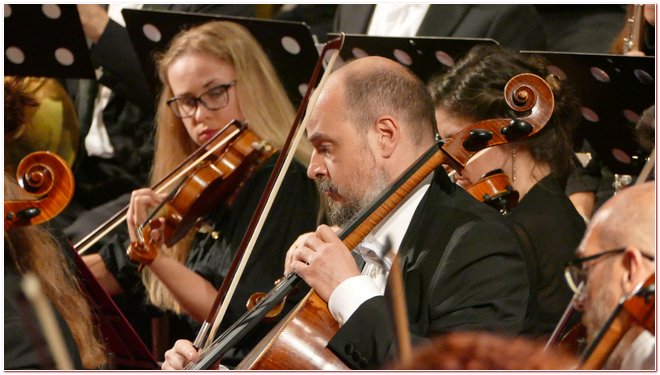 Arteviva Matteo Baxiu