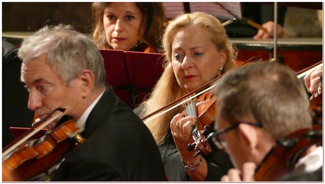 Arteviva Matteo Baxiu