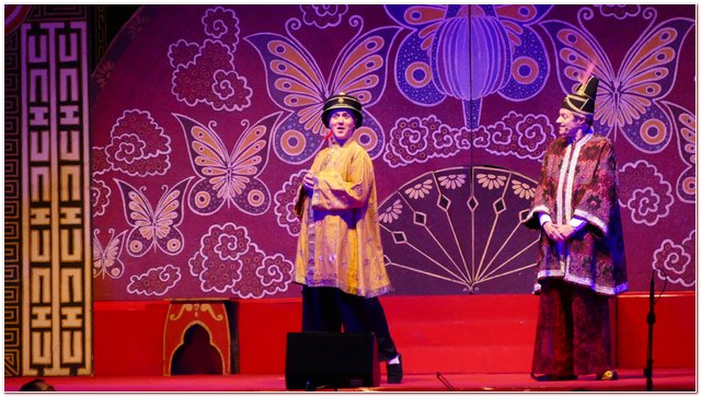 Galliate 2018 Opera in Castello Elena DAngelo
