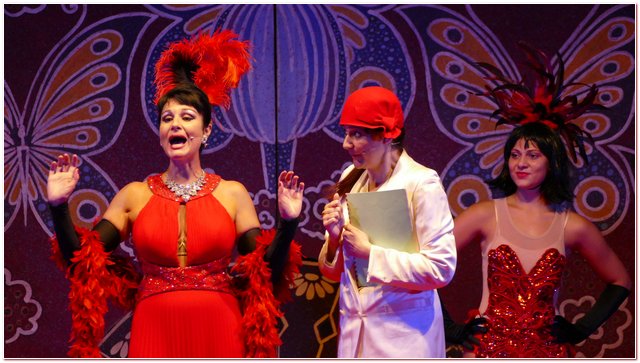 Galliate 2018 Opera in Castello Elena DAngelo