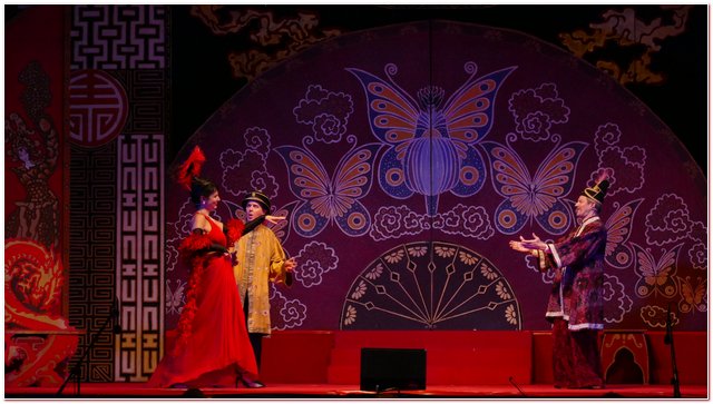 Galliate 2018 Opera in Castello Elena DAngelo
