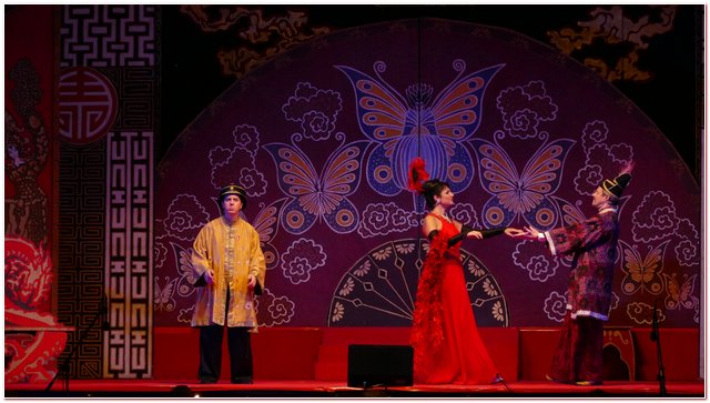 Galliate 2018 Opera in Castello Elena DAngelo