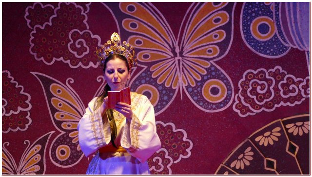Galliate 2018 Opera in Castello Elena DAngelo