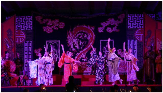 Galliate 2018 Opera in Castello Elena DAngelo