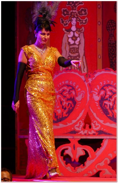 Galliate 2018 Opera in Castello Elena DAngelo