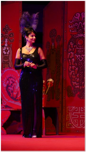 Galliate 2018 Opera in Castello Elena DAngelo