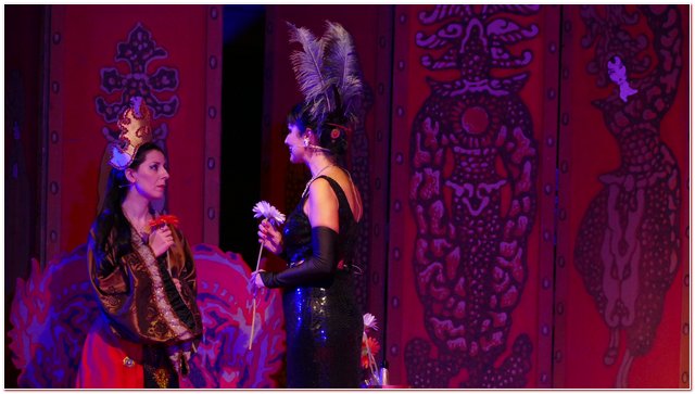 Galliate 2018 Opera in Castello Elena D’Angelo