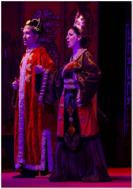 Galliate 2018 Opera in Castello Elena D’Angelo