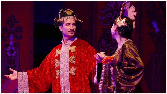 Galliate 2018 Opera in Castello Elena D’Angelo
