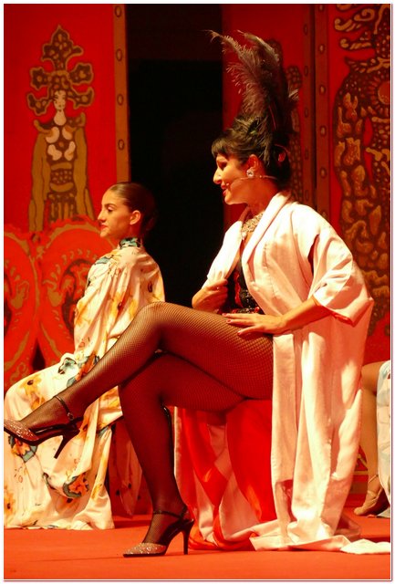 Galliate 2018 Opera in Castello Elena D’Angelo