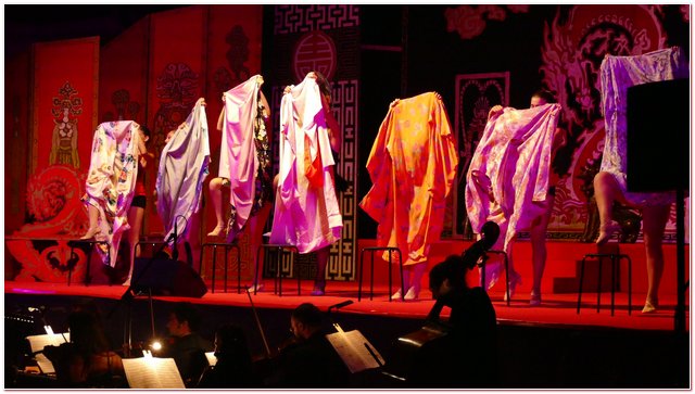Galliate 2018 Opera in Castello Elena D’Angelo
