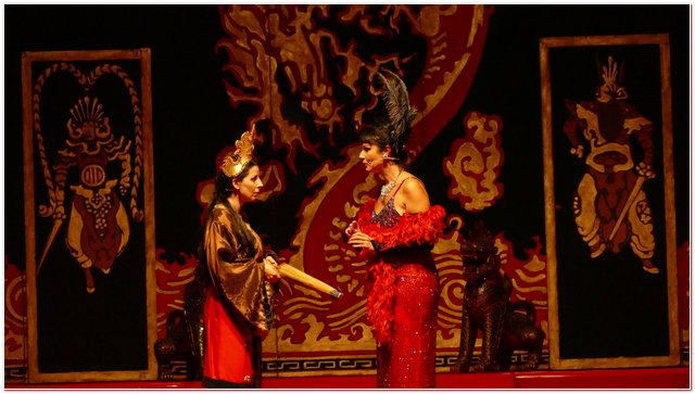 Galliate 2018 Opera in Castello Elena D’Angelo