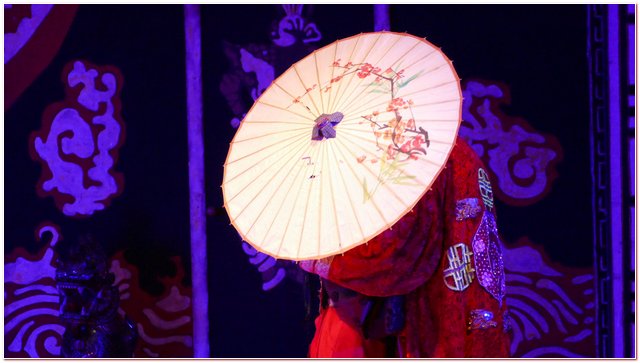 Galliate 2018 Opera in Castello Elena D’Angelo