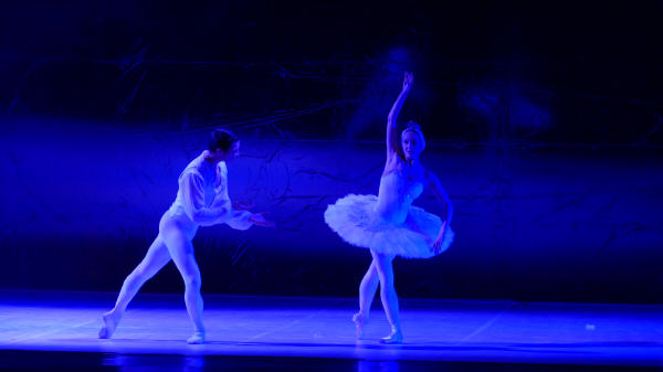 Balletto di Milano 2019 Lago dei cigni al Nuovo