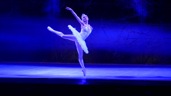 Balletto di Milano 2019 Lago dei cigni al Nuovo