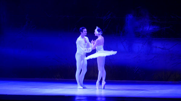 Balletto di Milano 2019 Lago dei cigni al Nuovo