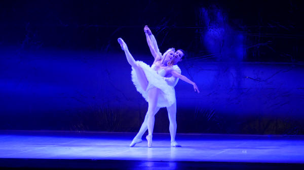 Balletto di Milano 2019 Lago dei cigni al Nuovo