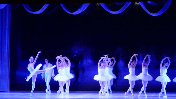 Balletto di Milano 2019 Lago dei cigni al Nuovo