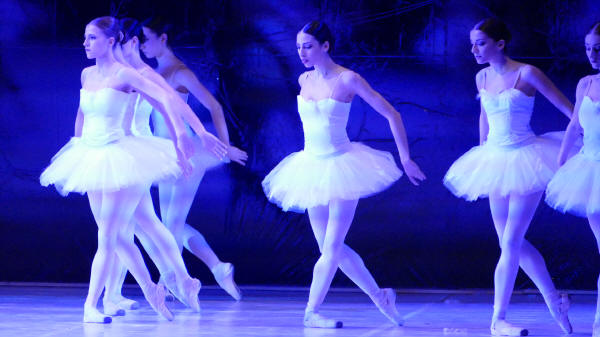 Balletto di Milano 2019 Lago dei cigni al Nuovo