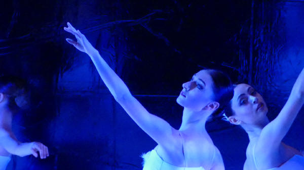 Balletto di Milano 2019 Lago dei cigni al Nuovo