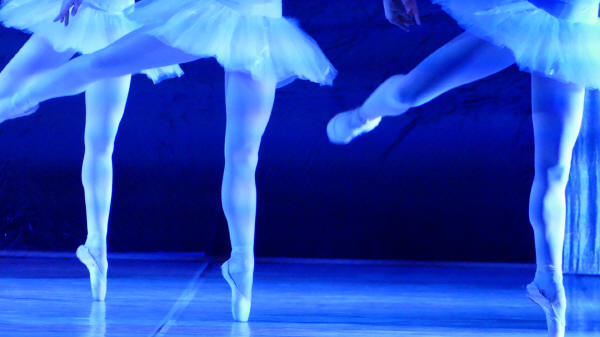Balletto di Milano 2019 Lago dei cigni al Nuovo