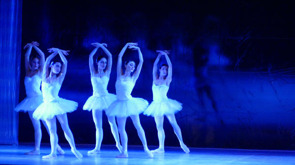 Balletto di Milano 2019 Lago dei cigni al Nuovo