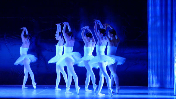 Balletto di Milano 2019 Lago dei cigni al Nuovo