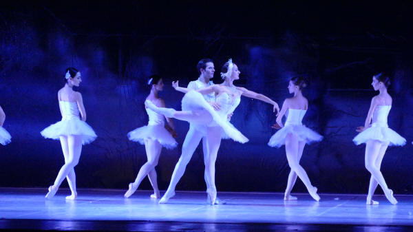 Balletto di Milano 2019 Lago dei cigni al Nuovo