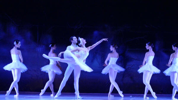 Balletto di Milano 2019 Lago dei cigni al Nuovo