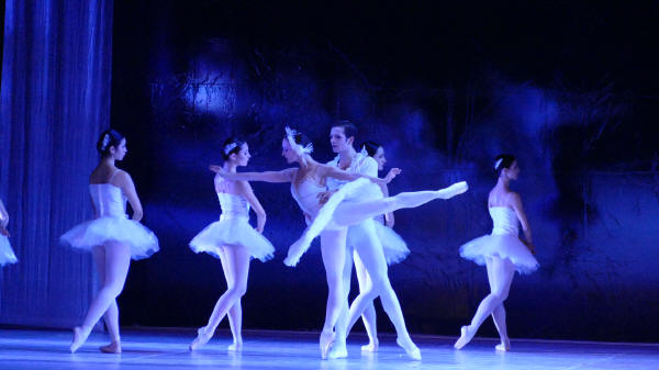 Balletto di Milano 2019 Lago dei cigni al Nuovo