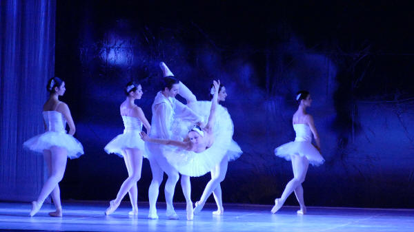 Balletto di Milano 2019 Lago dei cigni al Nuovo