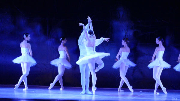 Balletto di Milano 2019 Lago dei cigni al Nuovo