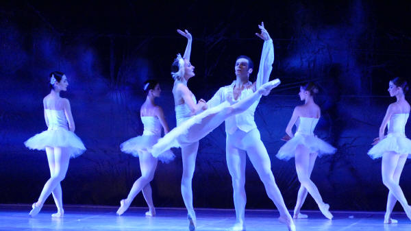 Balletto di Milano 2019 Lago dei cigni al Nuovo