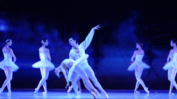 Balletto di Milano 2019 Lago dei cigni al Nuovo