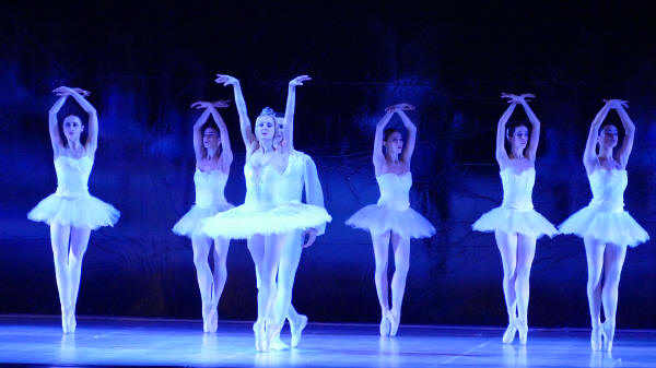 Balletto di Milano 2019 Lago dei cigni al Nuovo