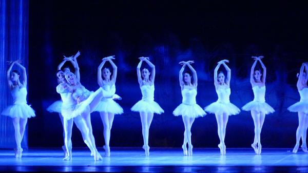 Balletto di Milano 2019 Lago dei cigni al Nuovo