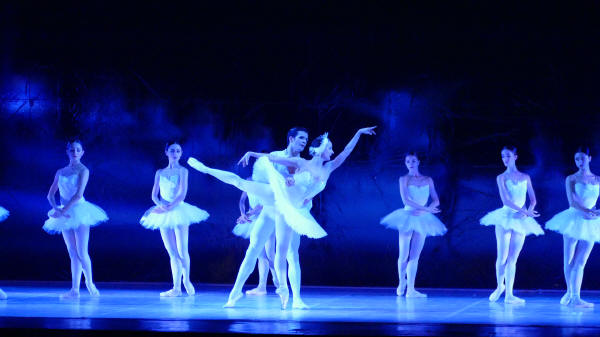 Balletto di Milano 2019 Lago dei cigni al Nuovo