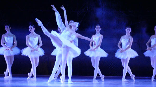 Balletto di Milano 2019 Lago dei cigni al Nuovo