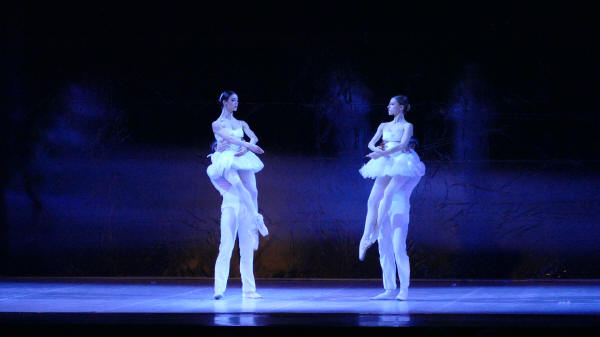 Balletto di Milano 2019 Lago dei cigni al Nuovo