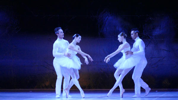 Balletto di Milano 2019 Lago dei cigni al Nuovo